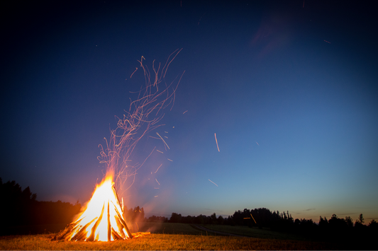 Samhain and the Cycle of Life, Death and Rebirth