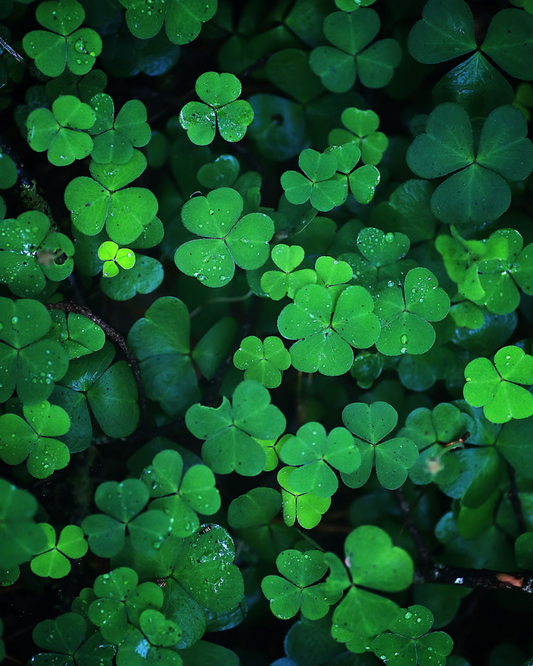 Spring Equinox: Ostara or Not