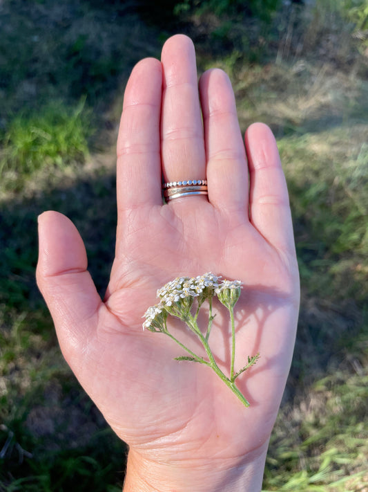 Yarrow and the Wounded Healer Archetype
