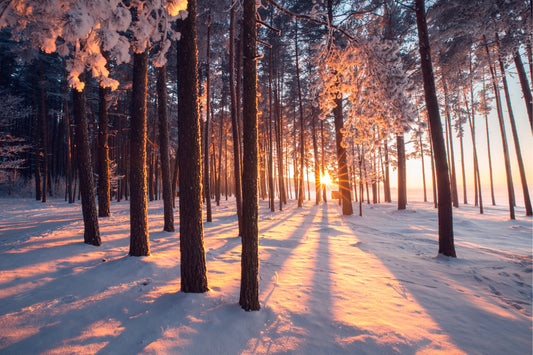 Celebrate Winter Solstice Like a Witch
